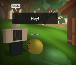 Vease Plays Roblox Raise An Epic Turtle Open Beta Vease Gaming